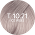 10.21 | ICE IRISEE
