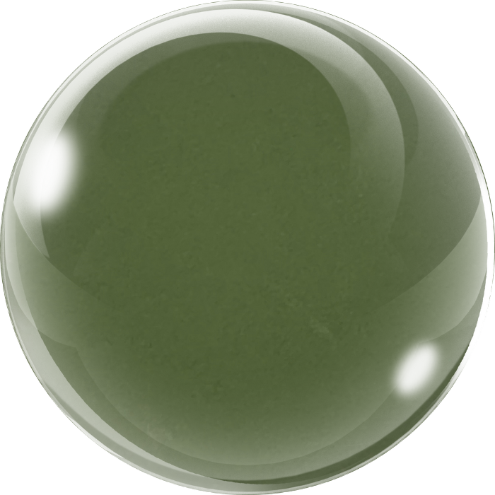 COLOR+GO 1-Step Shellac #716 - krāsa un virslaka vienā produktā