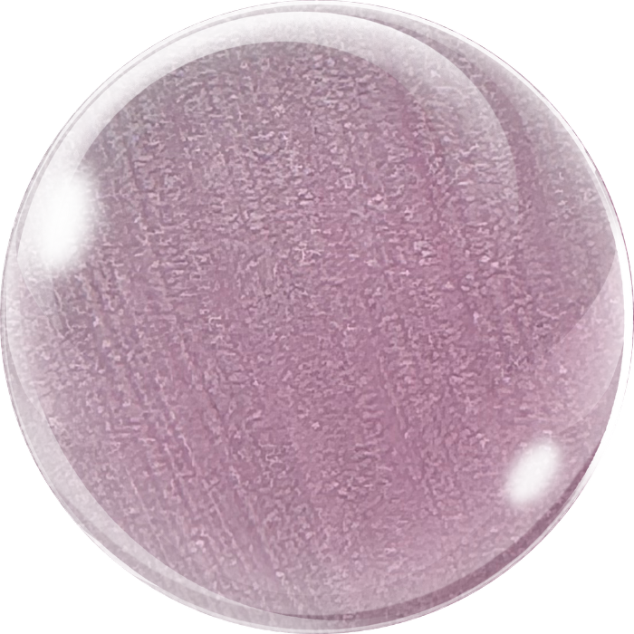 COLOR+GO 1-Step Shellac #733 - krāsa un virslaka vienā produktā