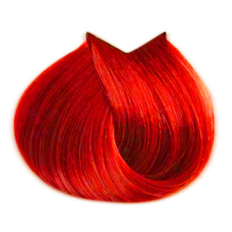 Pastiprinātāji